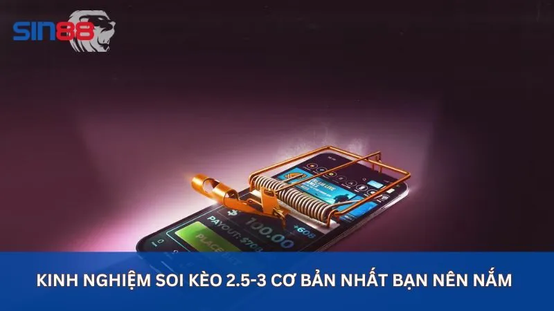 Kinh nghiệm soi kèo 2-5-3