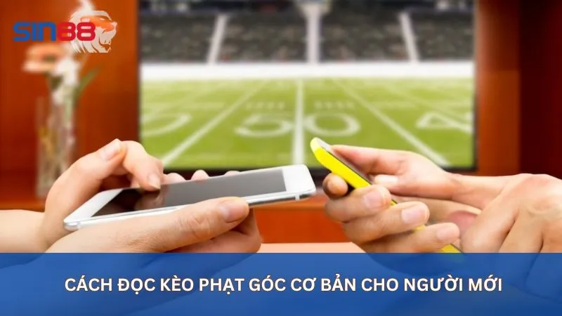 Cách đọc kèo phạt góc cơ bản cho người mới